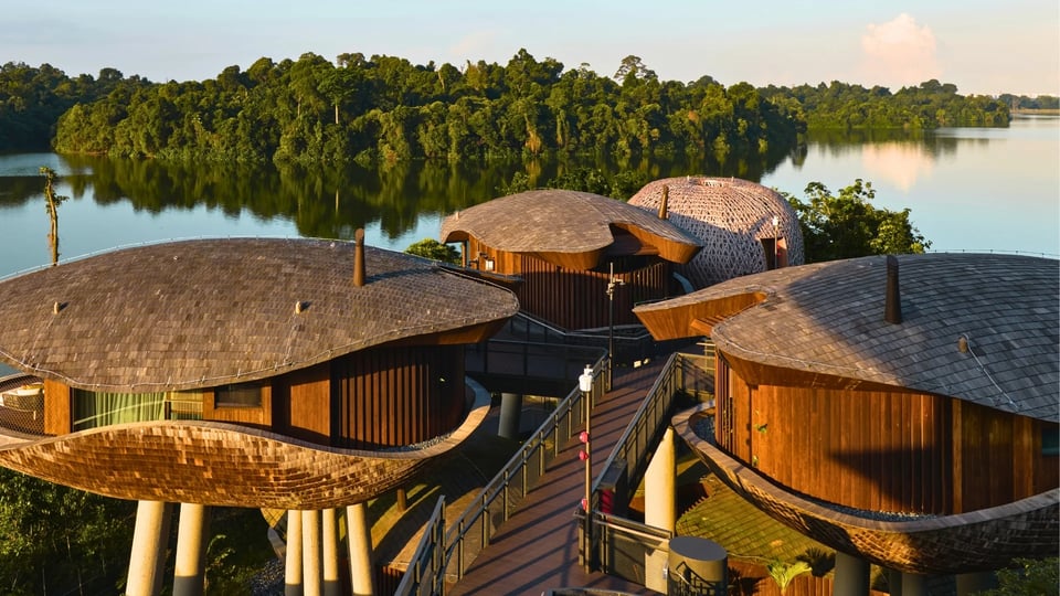Mandai Rainforest Resort by Banyan Tree, how it began
