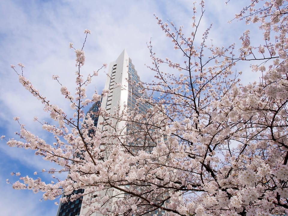 ANA InterContinental Tokyo, how it began