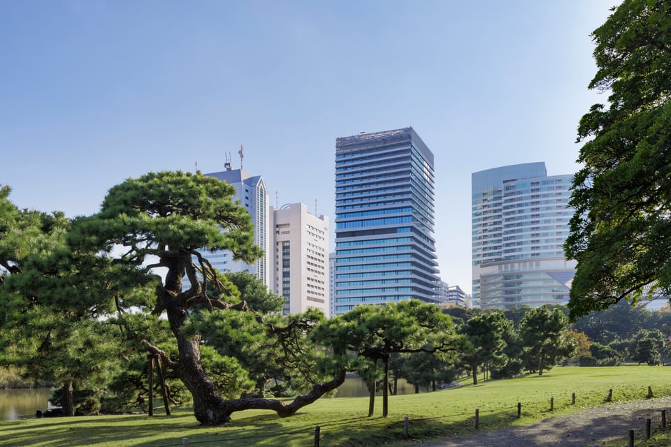 Mesm Tokyo, Autograph Collection, how it began