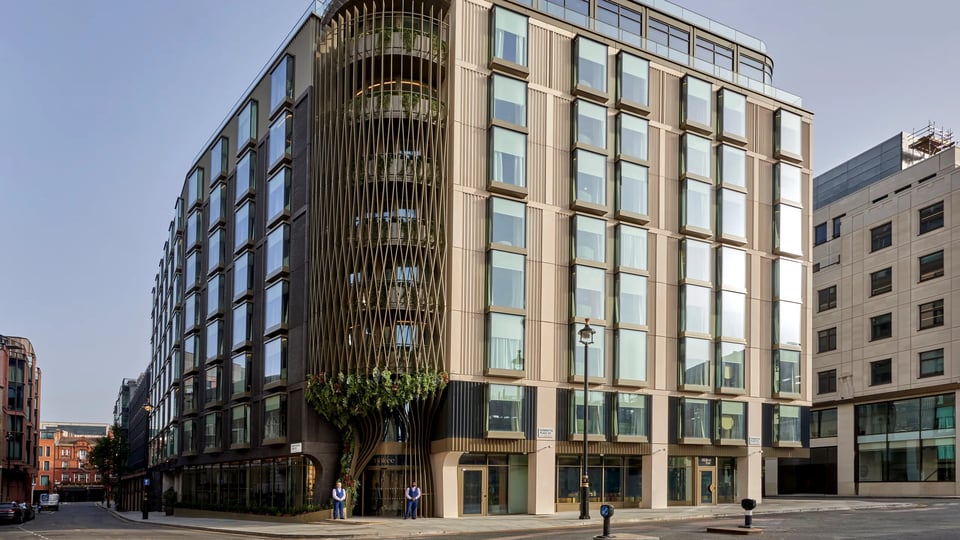 The BoTree London, how it began