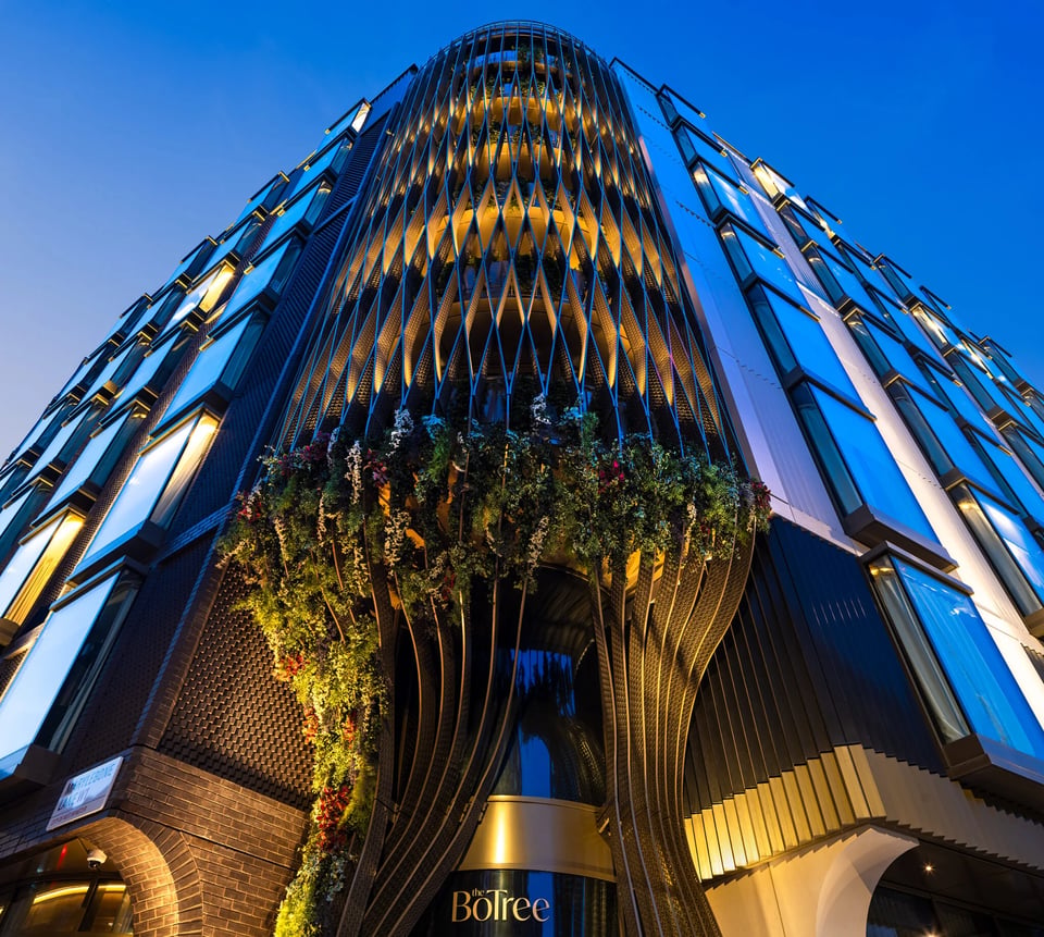 The BoTree London, how it began