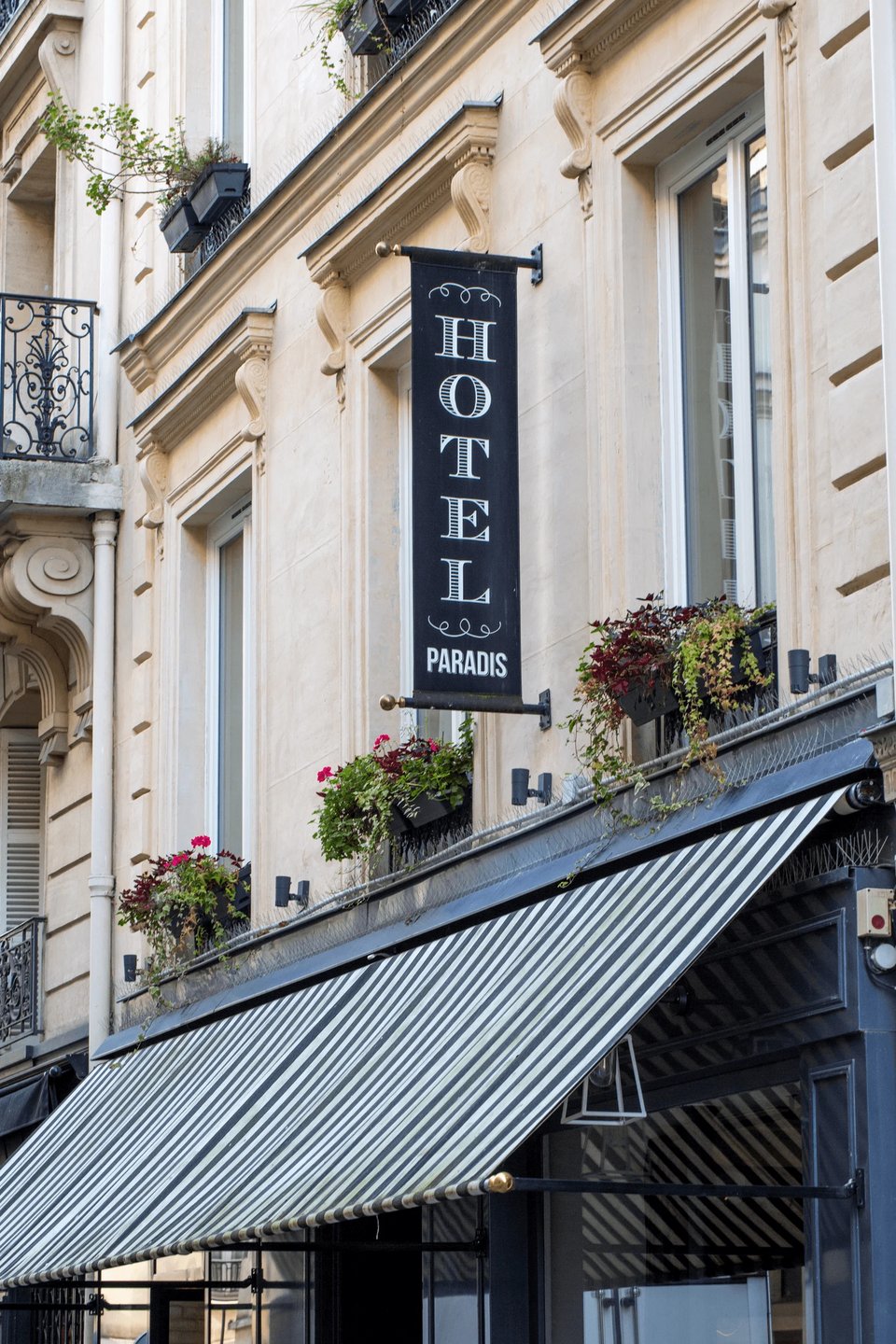 Hotel Paradis Paris, how it began