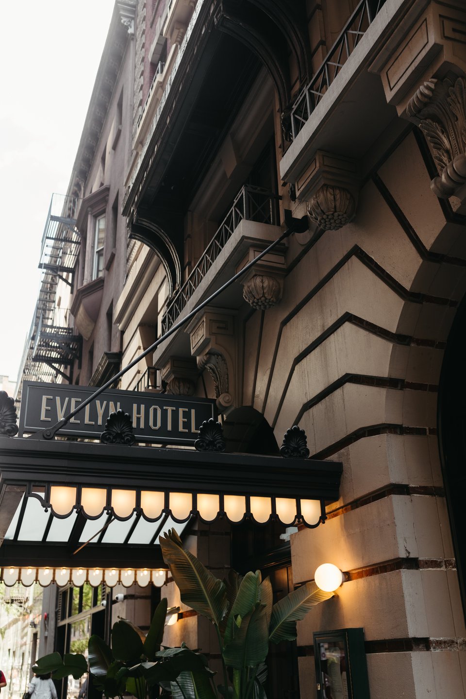 The Evelyn Hotel, how it began