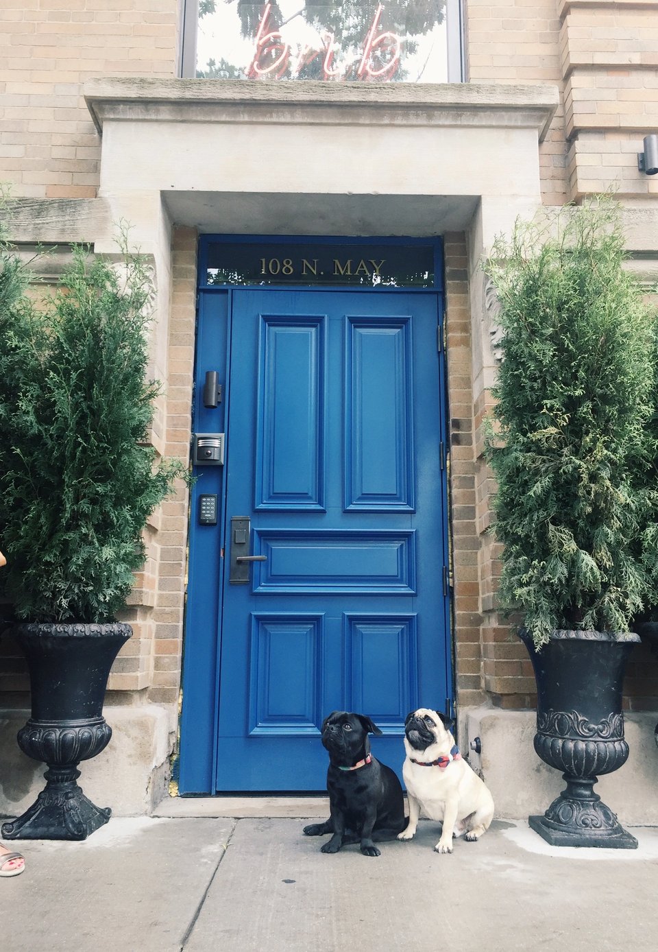 The Publishing House Bed and Breakfast, how it began