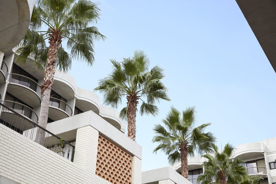 The Calile Hotel, how it began