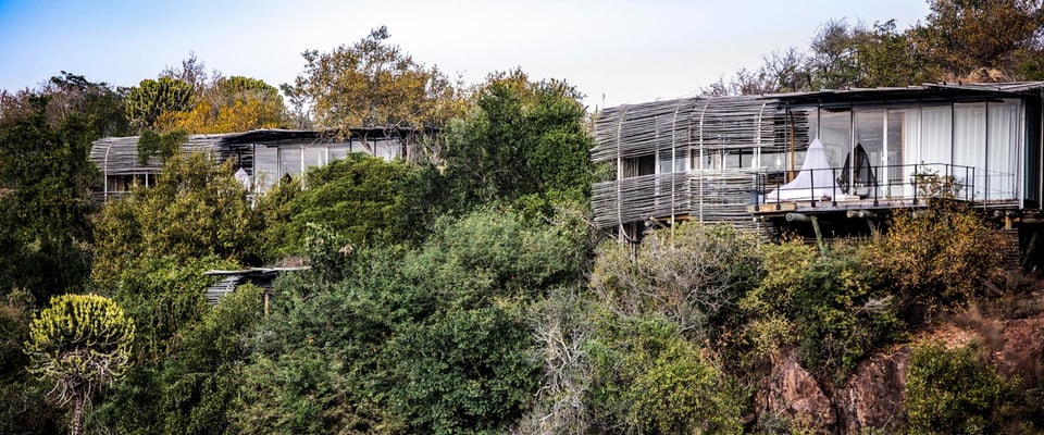 Singita Lebombo, how it began