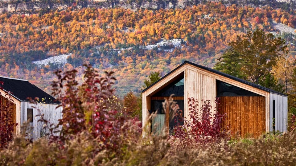 Wildflower Farms, how it began