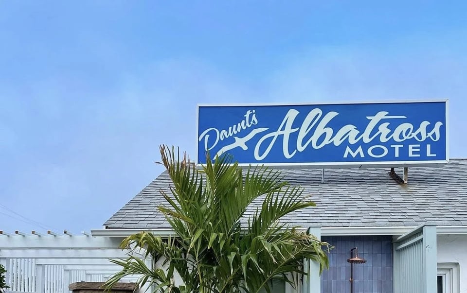 Daunt's Albatross Motel, how it began