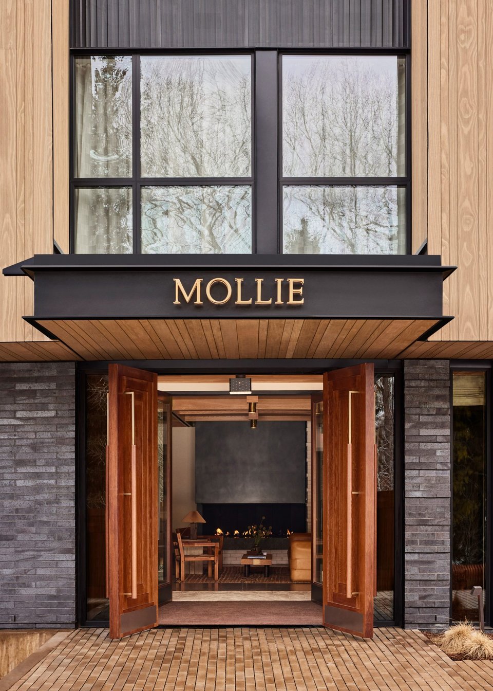 MOLLIE Aspen, how it began