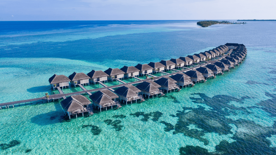 LUX South Ari Atoll, how it began