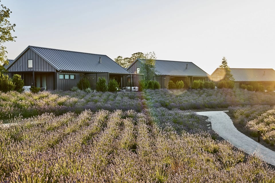 Stanly Ranch, how it began