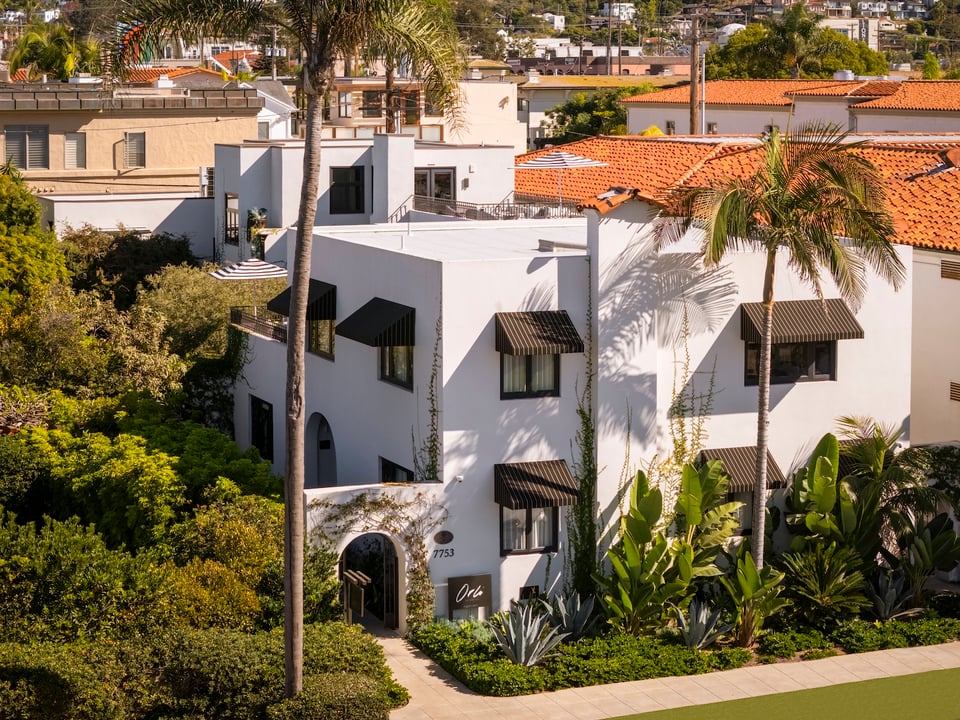 Orli La Jolla, how it began