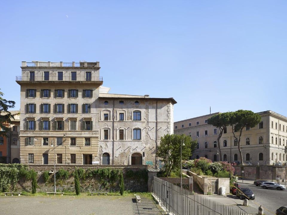 Rhinoceros Roma, how it began
