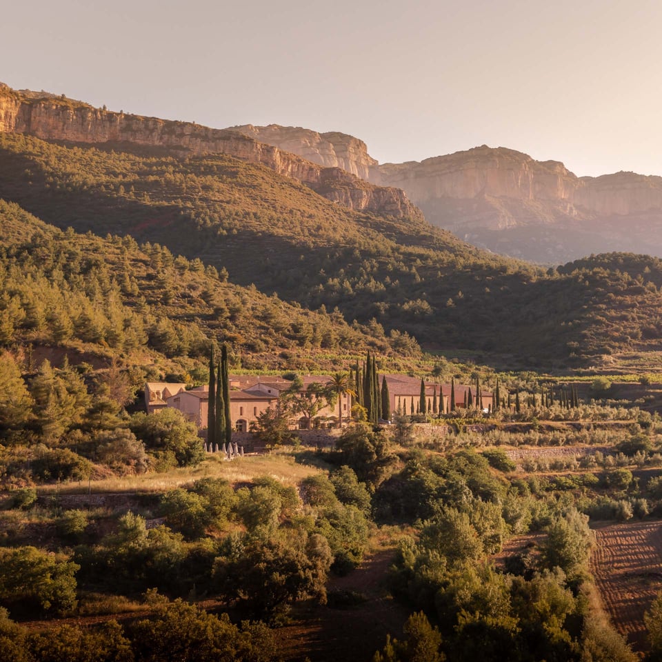 Terra Dominicata - Hotel & Winery, how it began