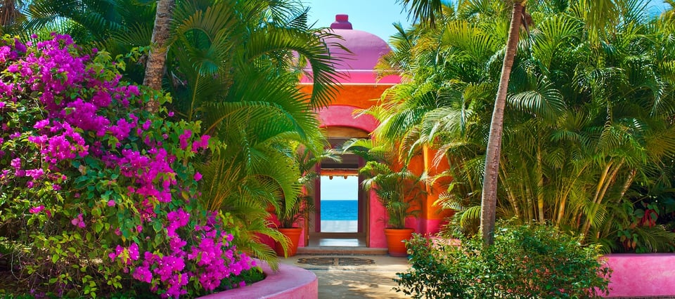 Las Alamandas, how it began