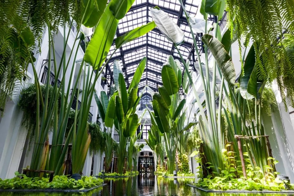 The Siam
