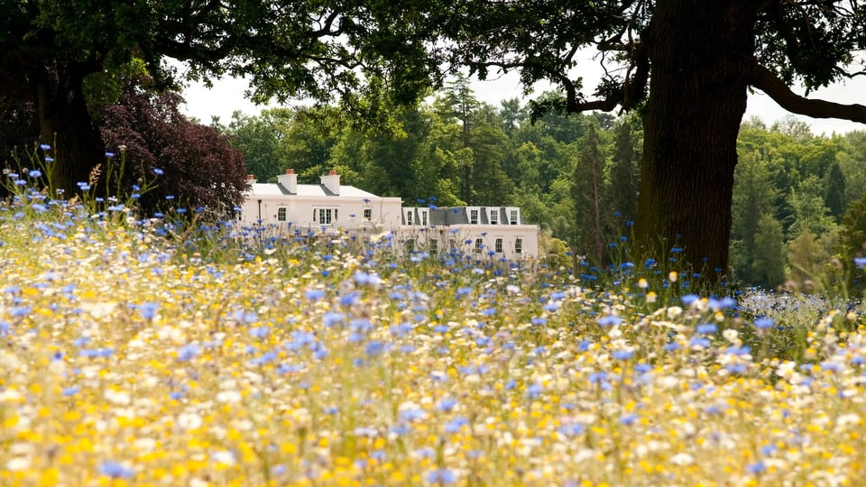 Coworth Park, how it began