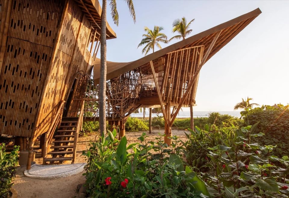 Playa Viva, how it began