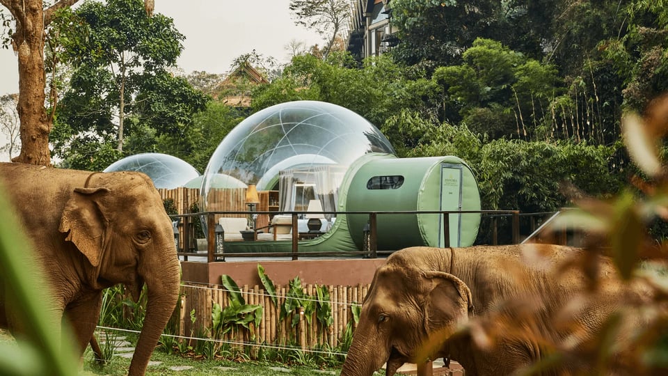 Anantara Golden Triangle Elephant Camp & Resort