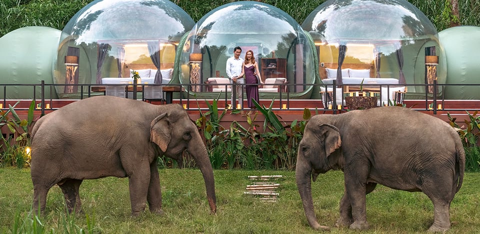 Anantara Golden Triangle Elephant Camp & Resort