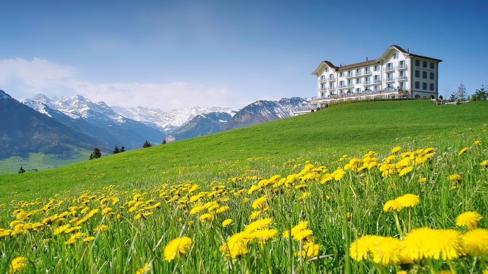 Hotel Villa Honegg, how it began