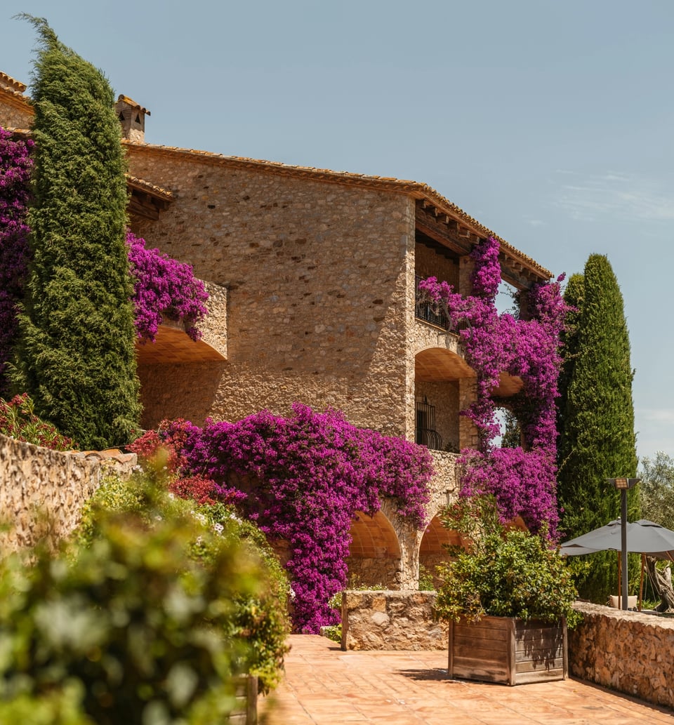 Mas de Torrent Hotel & Spa, how it began