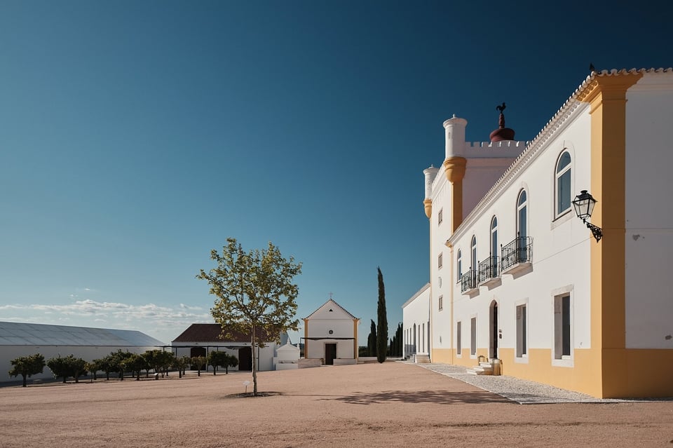 Torre de Palma Wine Hotel, how it began
