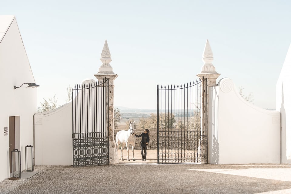 Torre de Palma Wine Hotel, how it began