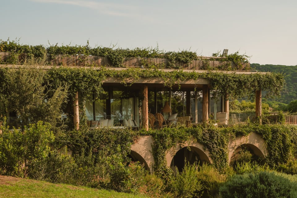 Hôtel Lily of the Valley, how it began