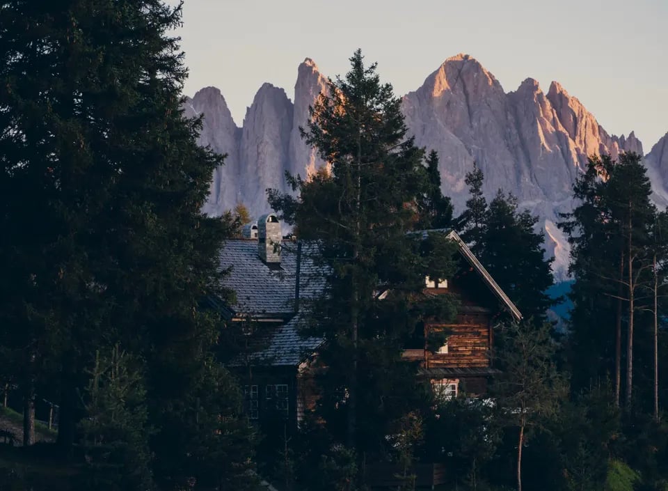 Forestis Dolomites, how it began