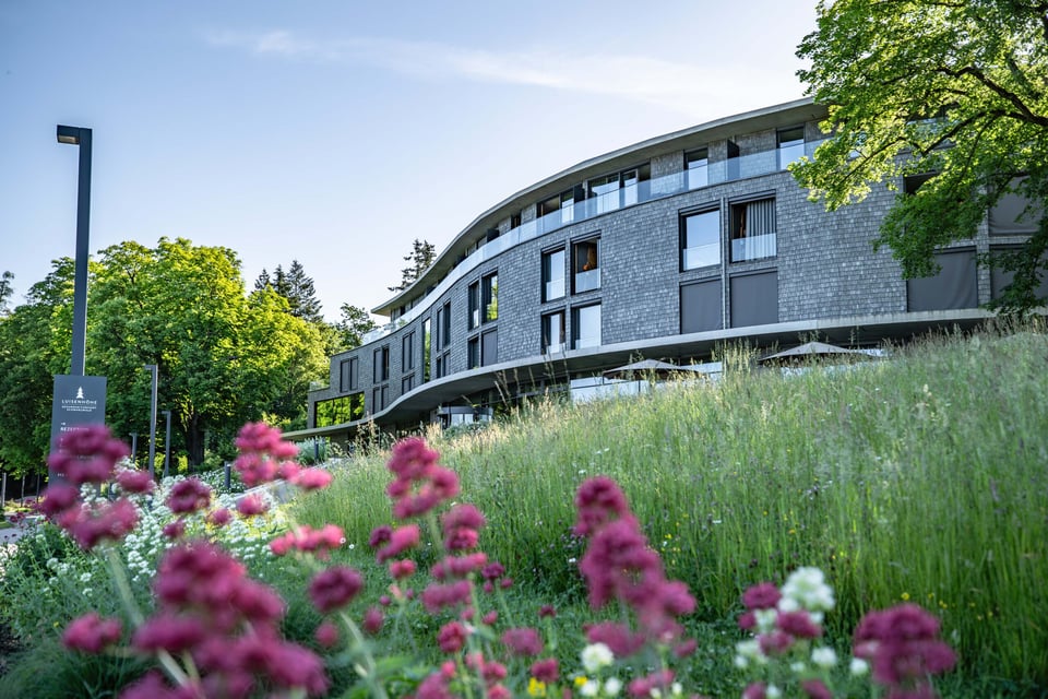 Luisenhöhe - Gesundheitsresort Schwarzwald, how it began