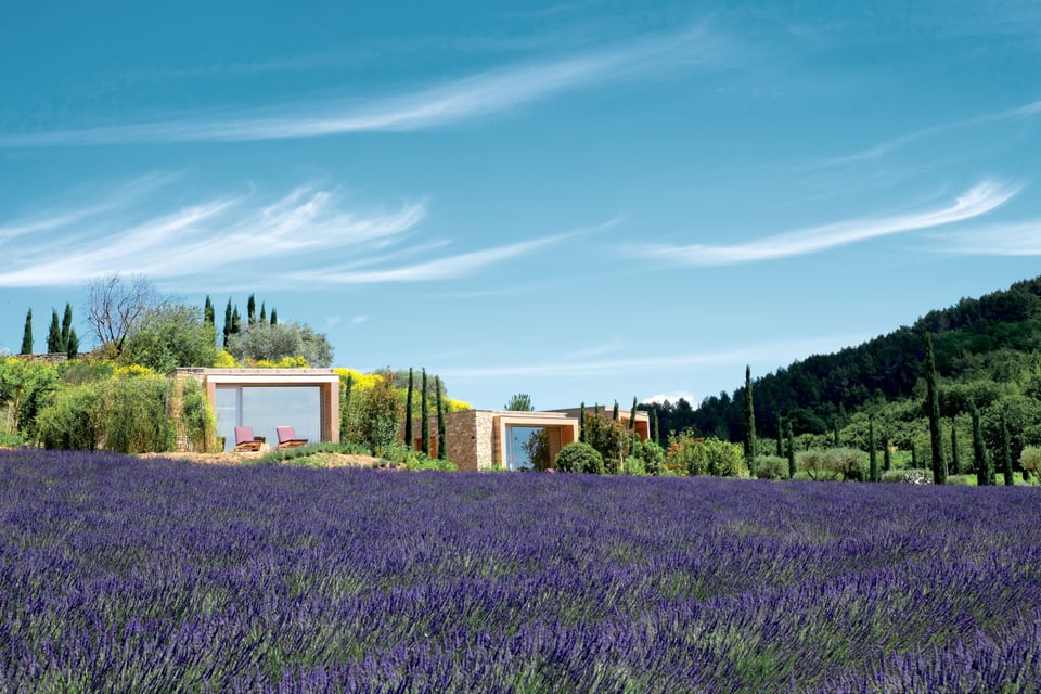 Domaine Des Andéols, how it began