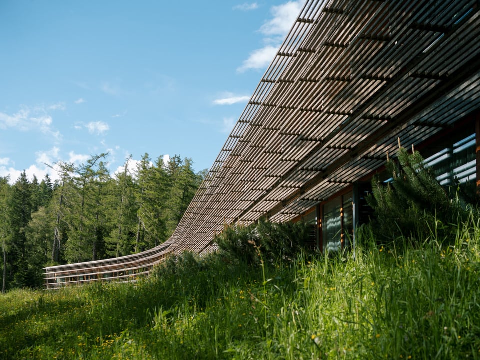 Vigilius Mountain Resort, how it began
