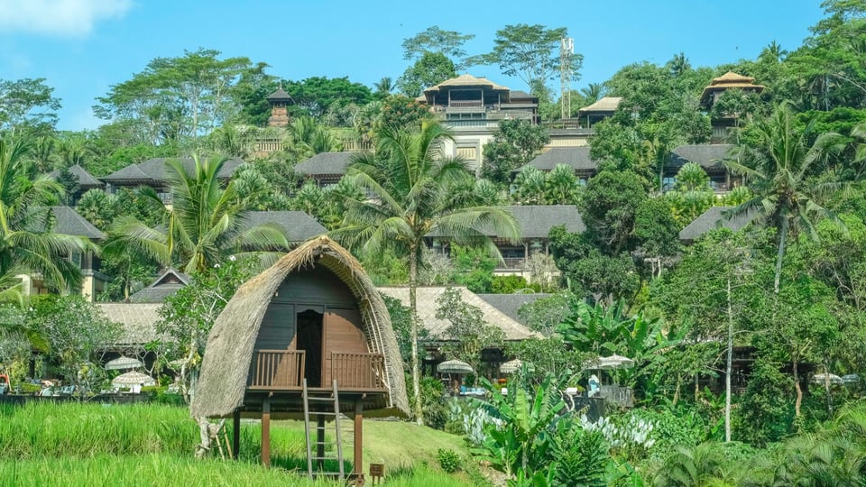 Mandapa, a Ritz-Carlton Reserve, how it began