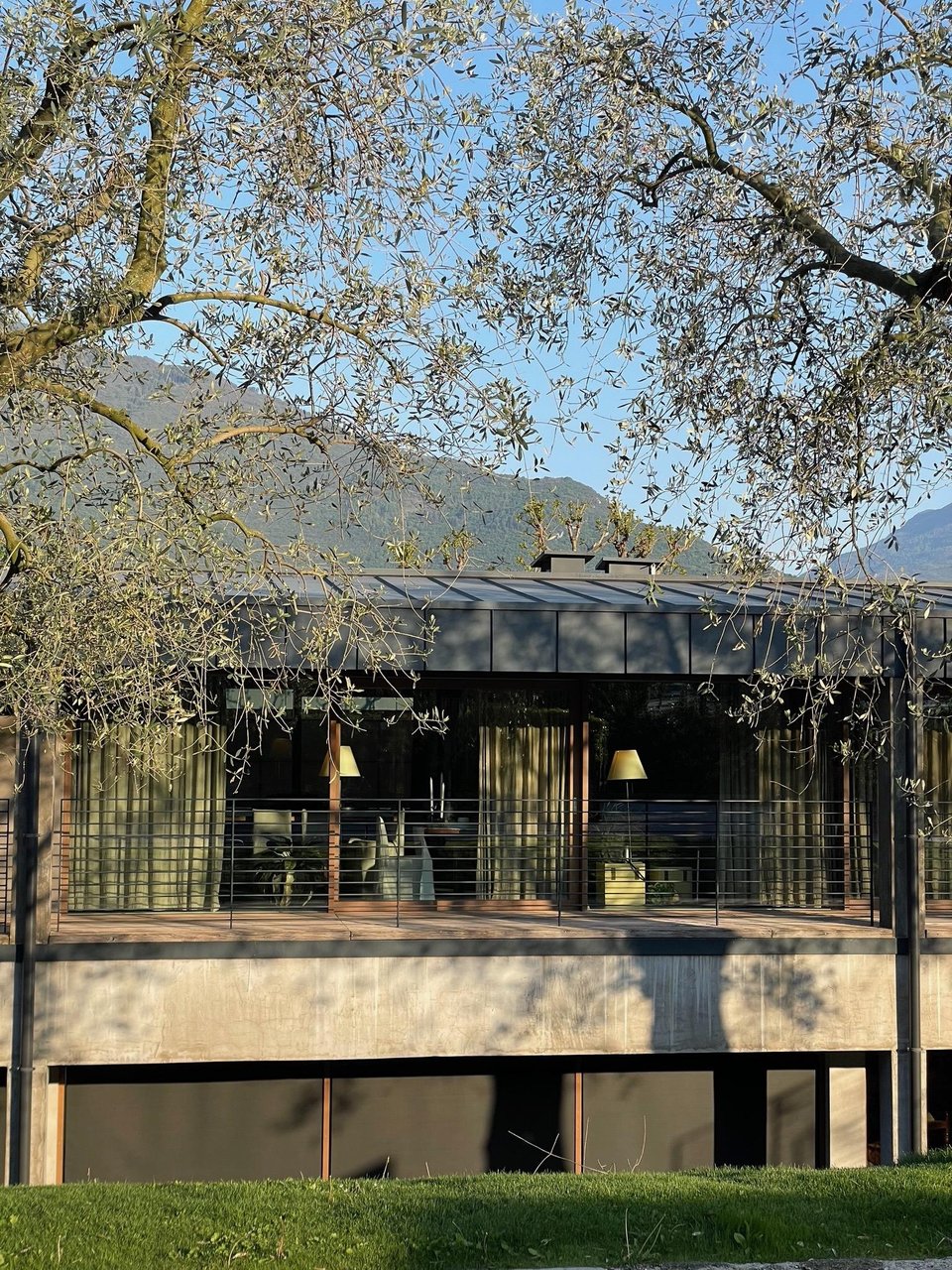 Vivere Suites and Rooms, how it began
