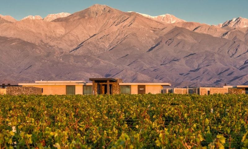 The Vines Resort & Spa, how it began