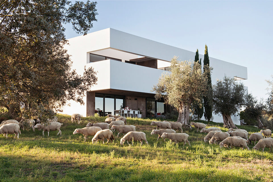 Villa Extramuros, how it began