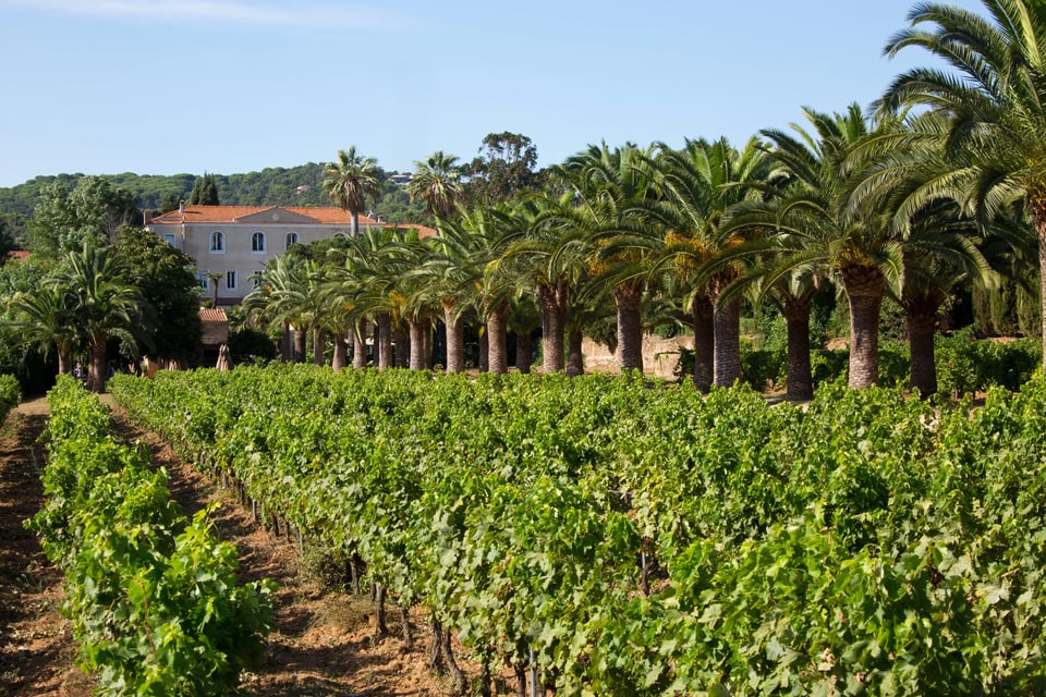Château de Valmer, how it began