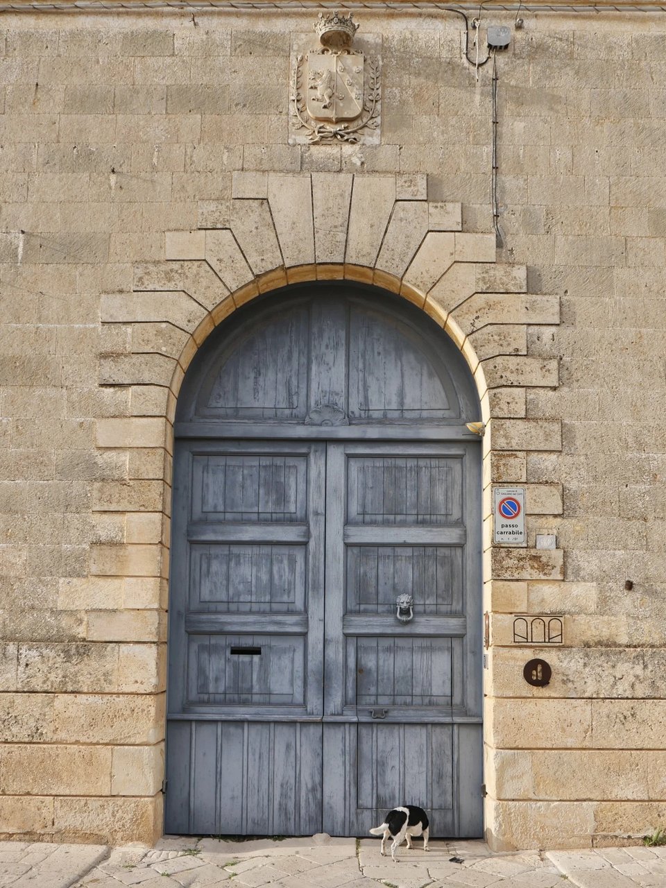 Palazzo Daniele, how it began