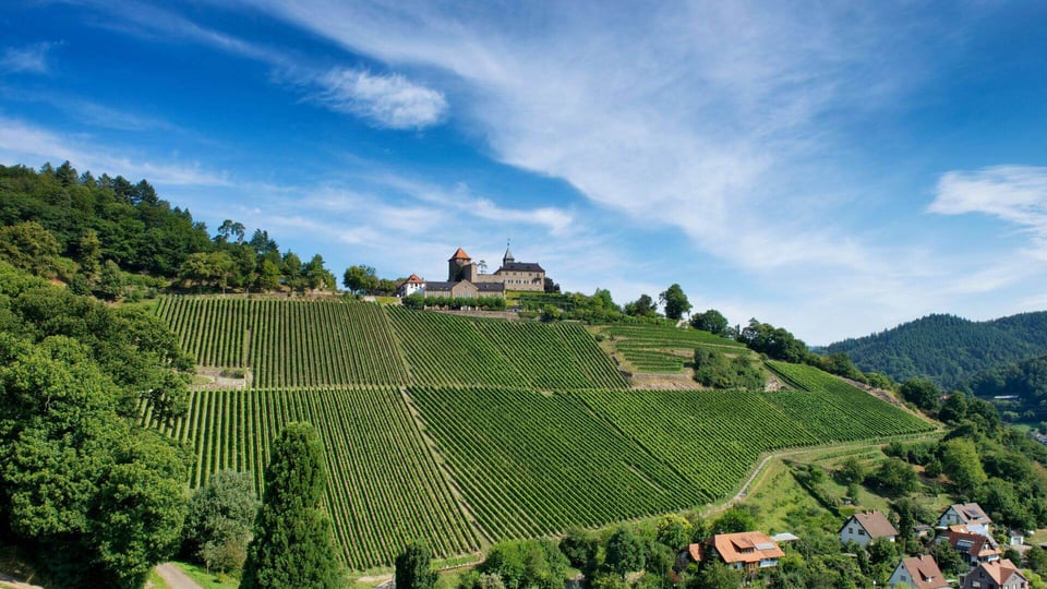 Schloss Eberstein, how it began