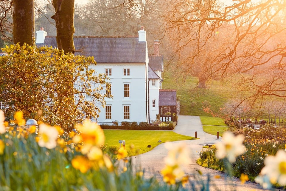 Grove of Narberth, how it began