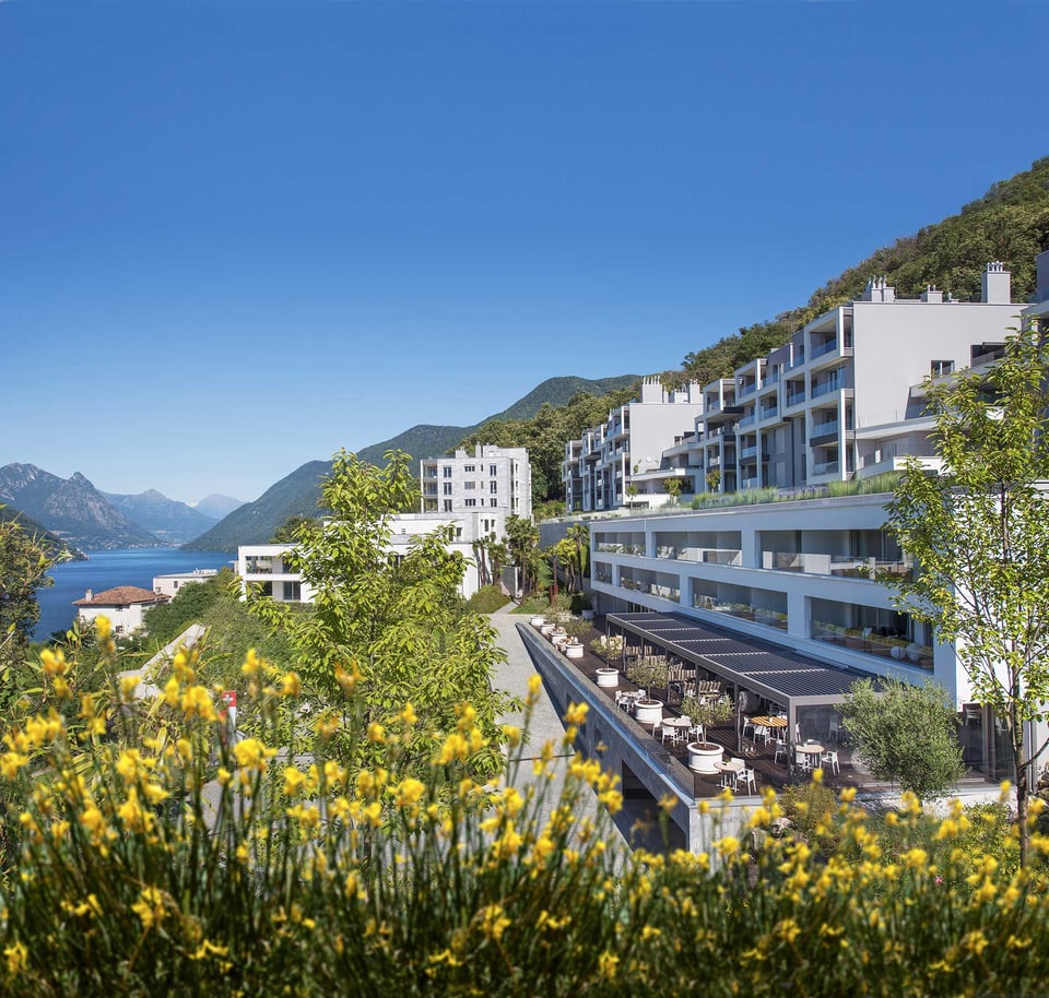 The View Lugano, how it began