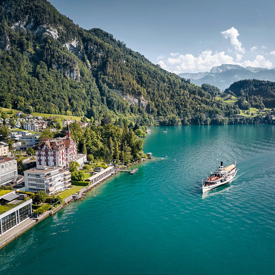 Hotel Vitznauerhof, how it began