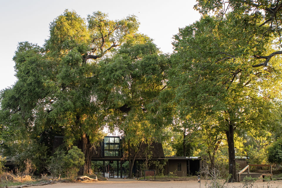 Lion Sands Game Reserve, how it began