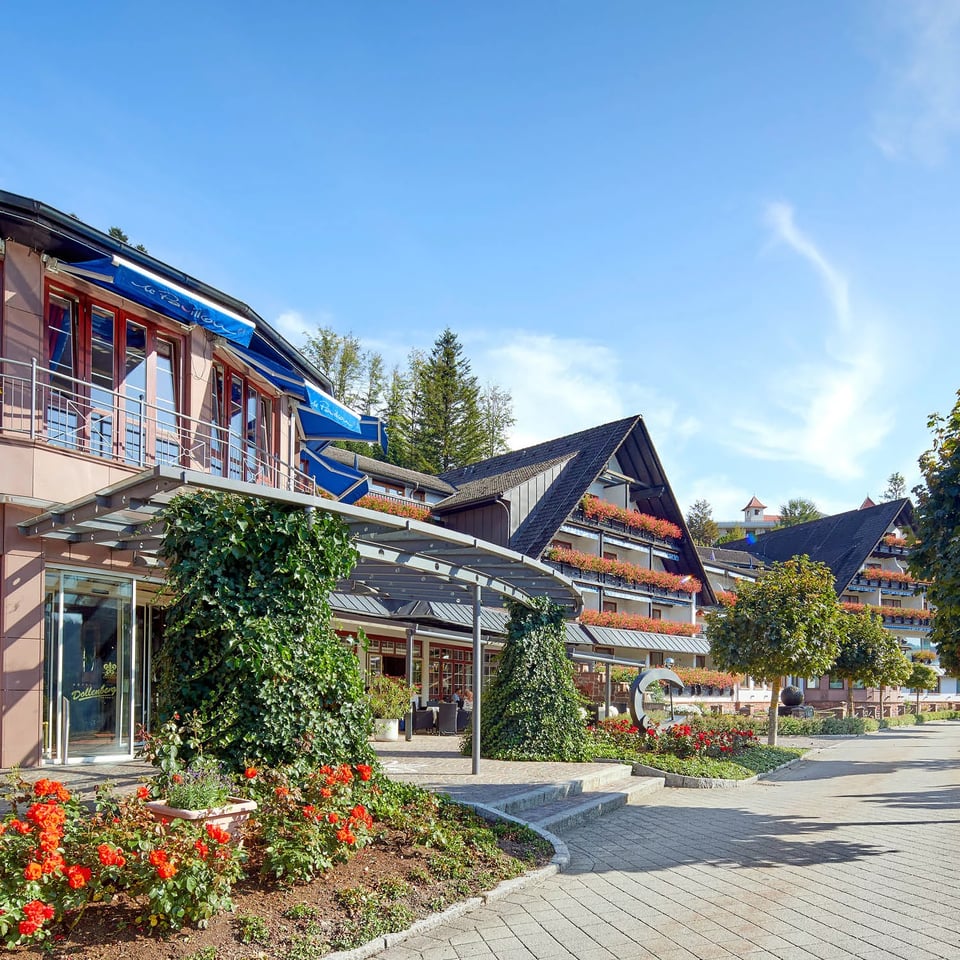 Dollenberg - Schwarzwald Resort, how it began