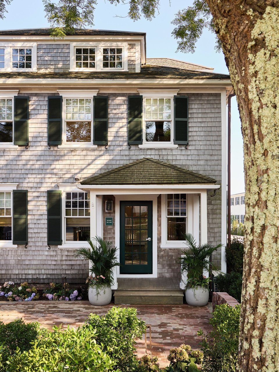 Faraway Martha's Vineyard, how it began