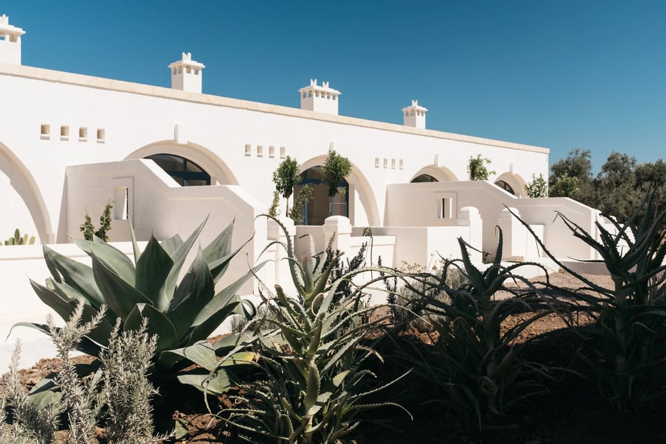 Masseria Calderisi, how it began