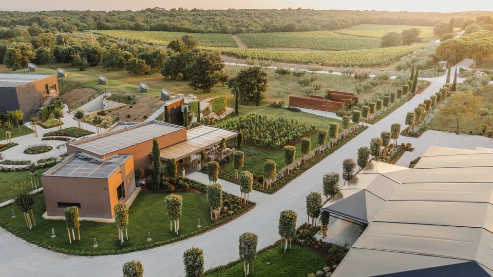 Meneghetti Wine Hotel & Winery, how it began