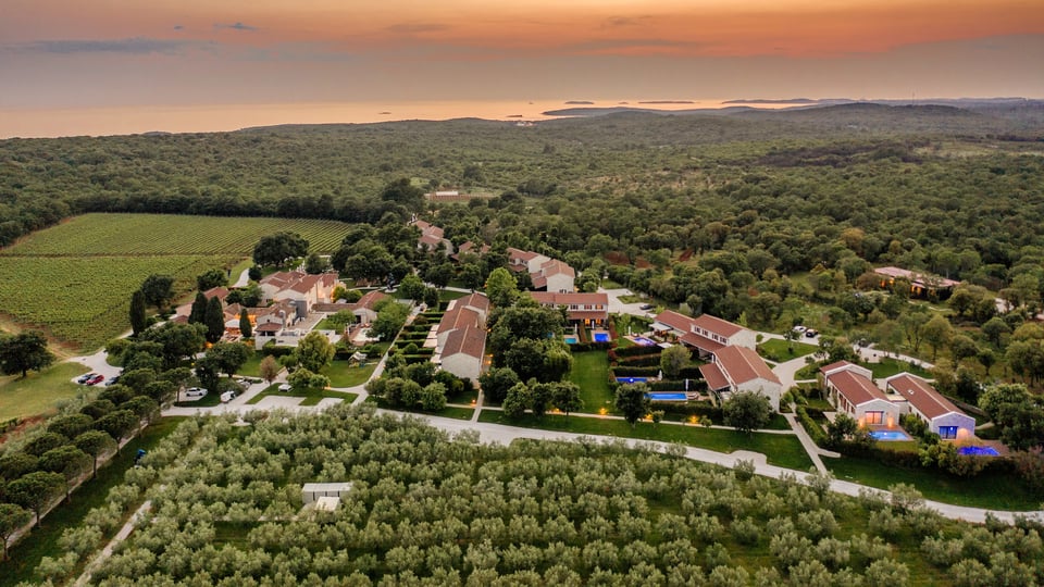 Meneghetti Wine Hotel & Winery, how it began
