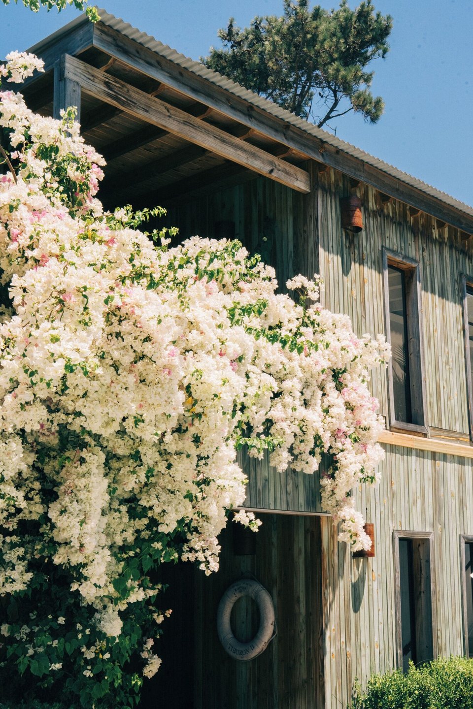Casa Flor Hotel Boutique, how it began